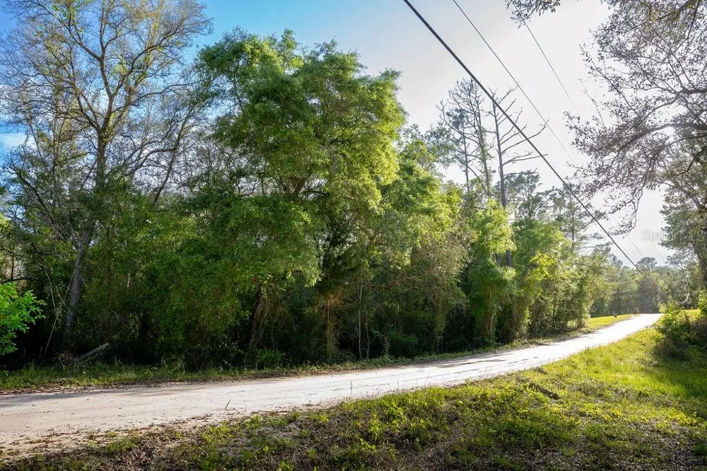 LAKE MAREGARET BOULEVARD Pomona Park, FL 32181