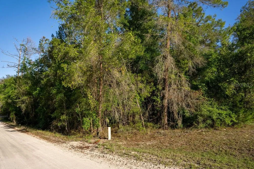 LAKE MAREGARET BOULEVARD Pomona Park, FL 32181