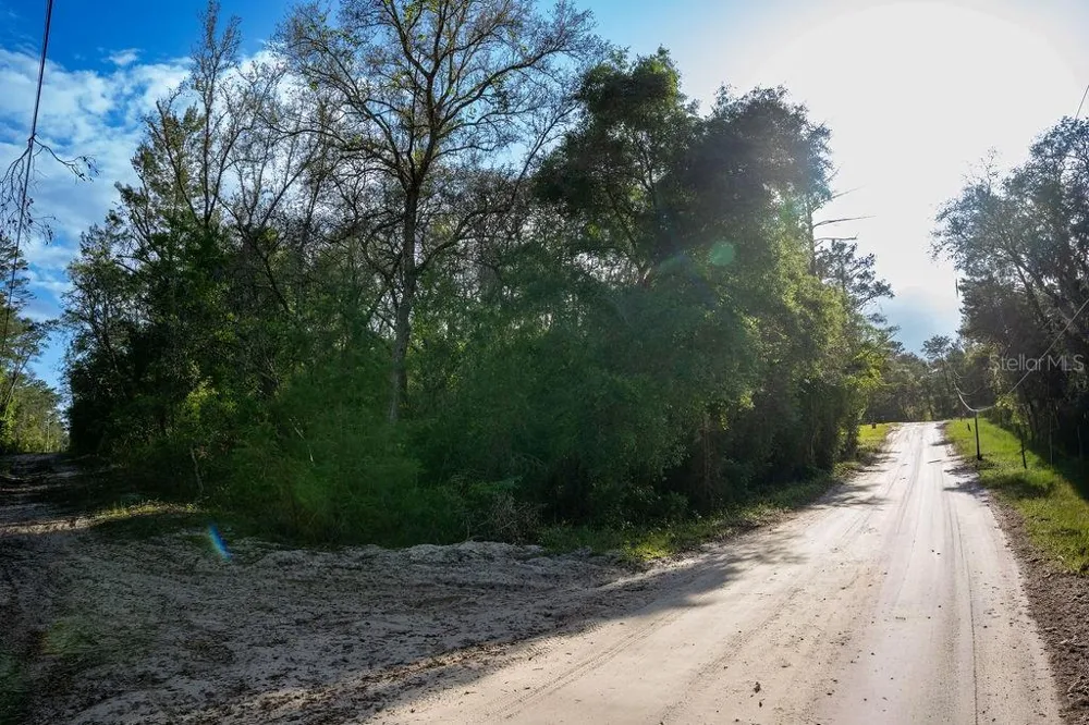 LAKE MAREGARET BOULEVARD Pomona Park, FL 32181
