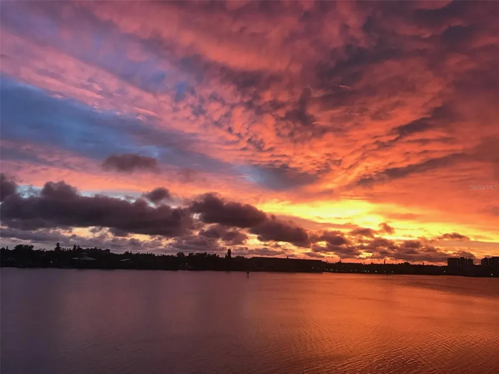 7932 SAILBOAT KEY BOULEVARD S #101 South Pasadena, FL 33707