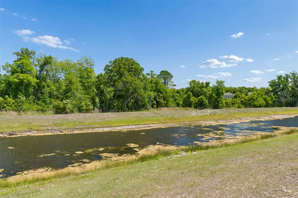 17647 CORTES CREEK BOULEVARD Spring Hill, FL 34610