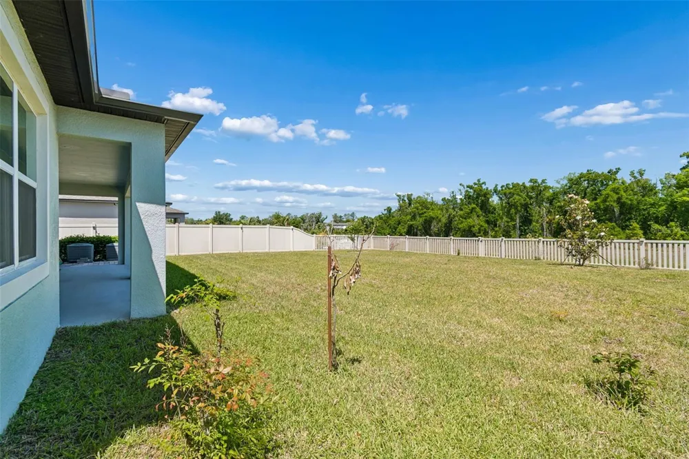 17647 CORTES CREEK BOULEVARD Spring Hill, FL 34610