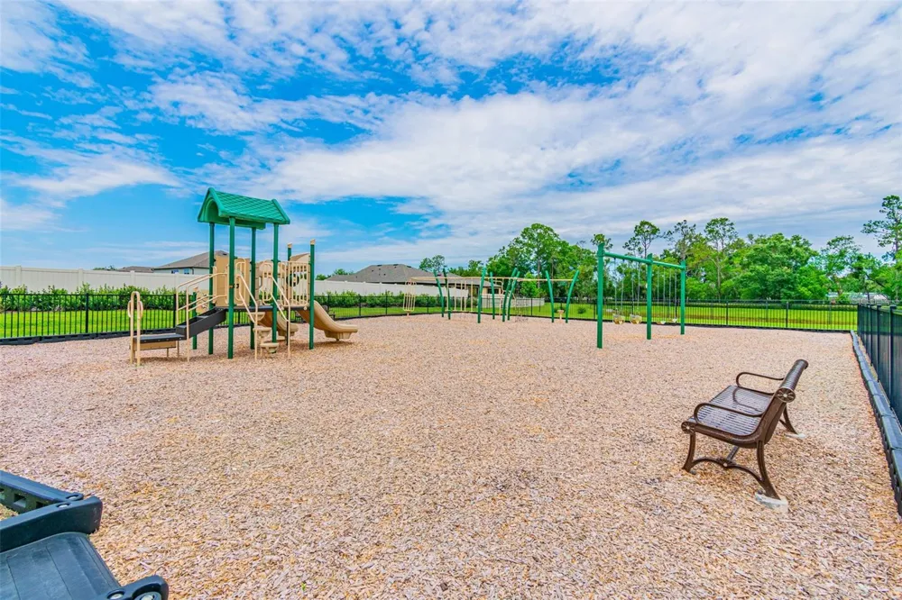 17647 CORTES CREEK BOULEVARD Spring Hill, FL 34610