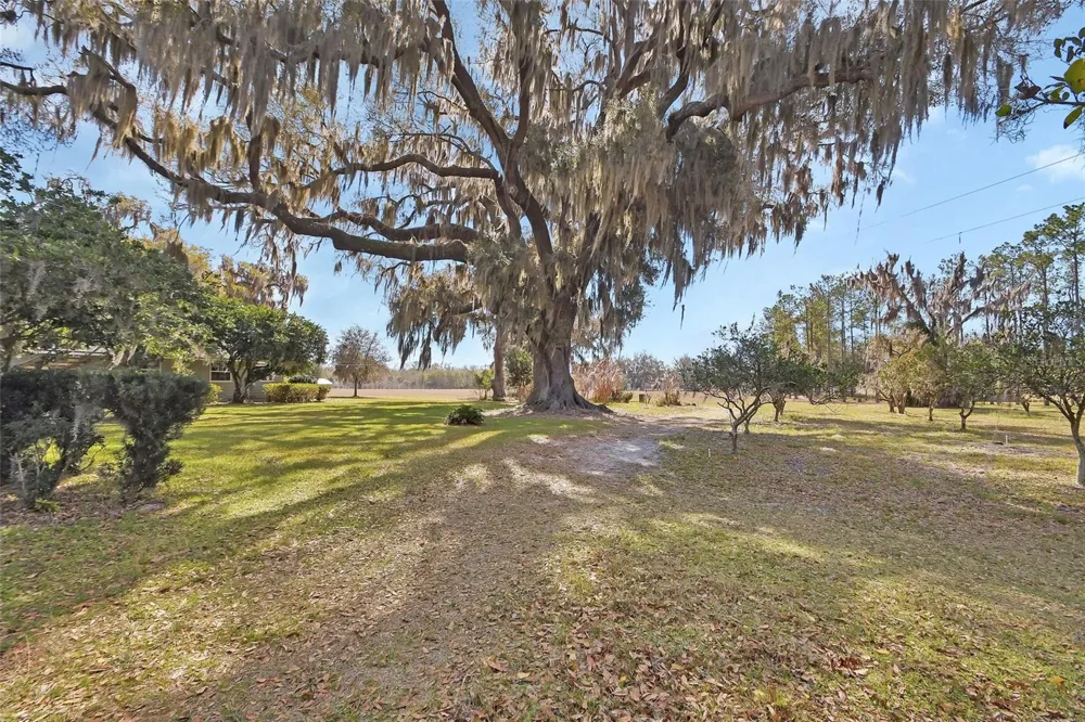 1403 BLACKWELDER ROAD De Leon Springs, FL 32130
