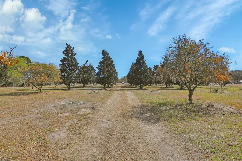 1403 BLACKWELDER ROAD De Leon Springs, FL 32130