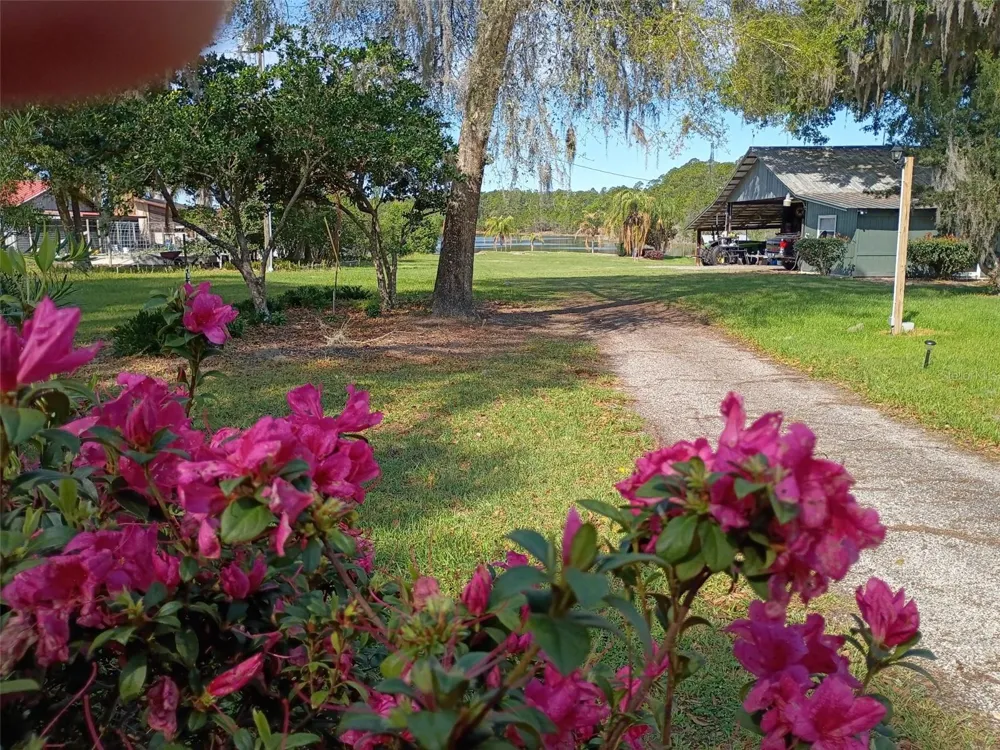 1403 BLACKWELDER ROAD De Leon Springs, FL 32130