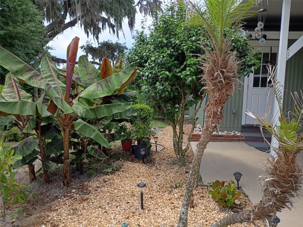 1403 BLACKWELDER ROAD De Leon Springs, FL 32130