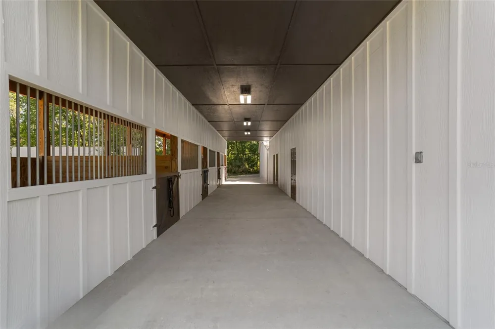20005 NW 135TH AVENUE Micanopy, FL 32667