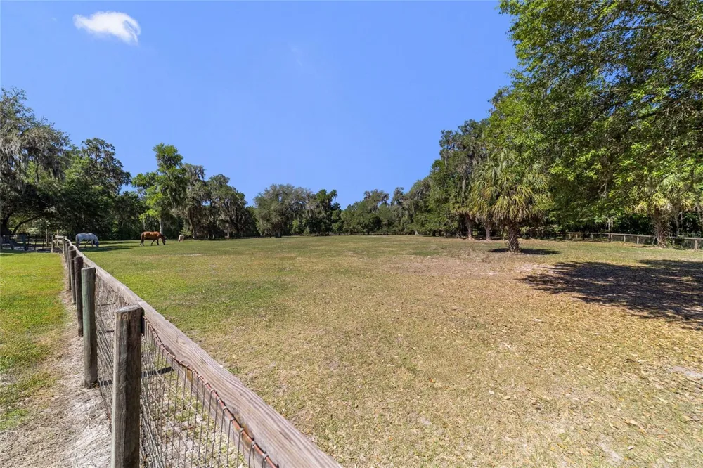 20005 NW 135TH AVENUE Micanopy, FL 32667