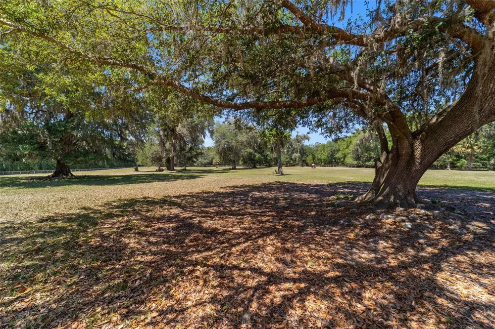 20005 NW 135TH AVENUE Micanopy, FL 32667