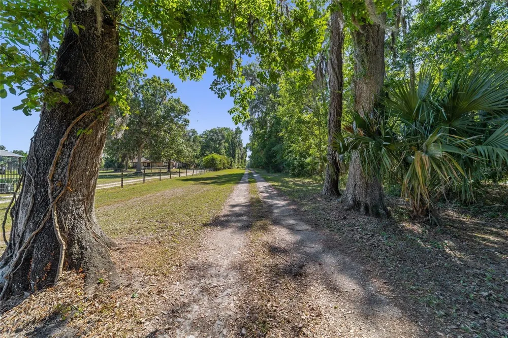 20005 NW 135TH AVENUE Micanopy, FL 32667