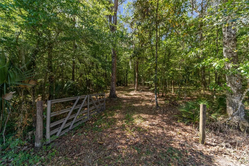 20005 NW 135TH AVENUE Micanopy, FL 32667