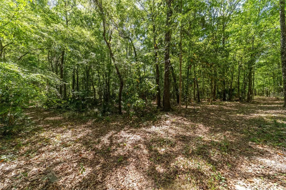 20005 NW 135TH AVENUE Micanopy, FL 32667