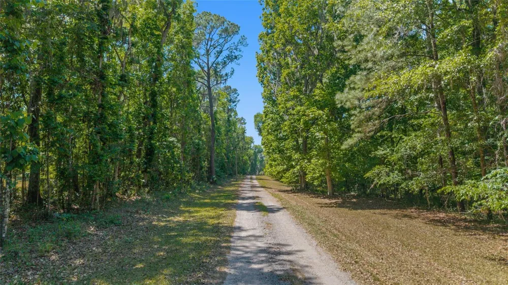 20005 NW 135TH AVENUE Micanopy, FL 32667