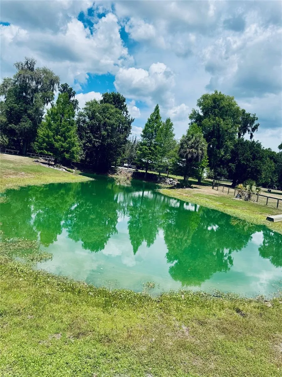 20005 NW 135TH AVENUE Micanopy, FL 32667
