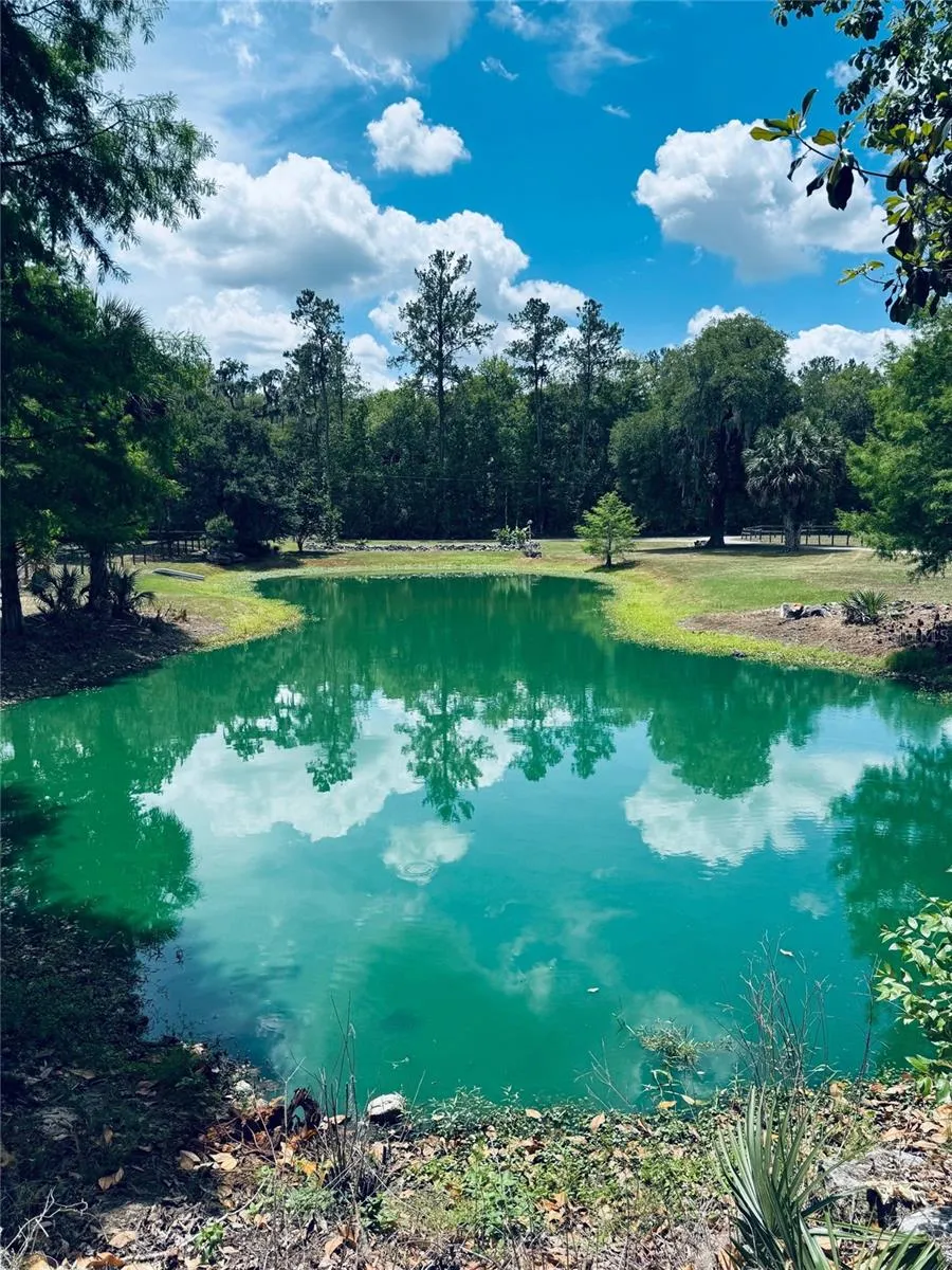 20005 NW 135TH AVENUE Micanopy, FL 32667