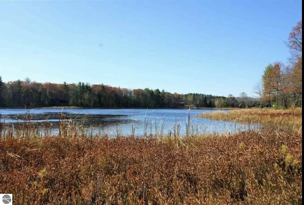 312 Blue Heron Drive Orange Township, MI 49646