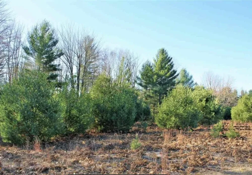 312 Blue Heron Drive Orange Township, MI 49646