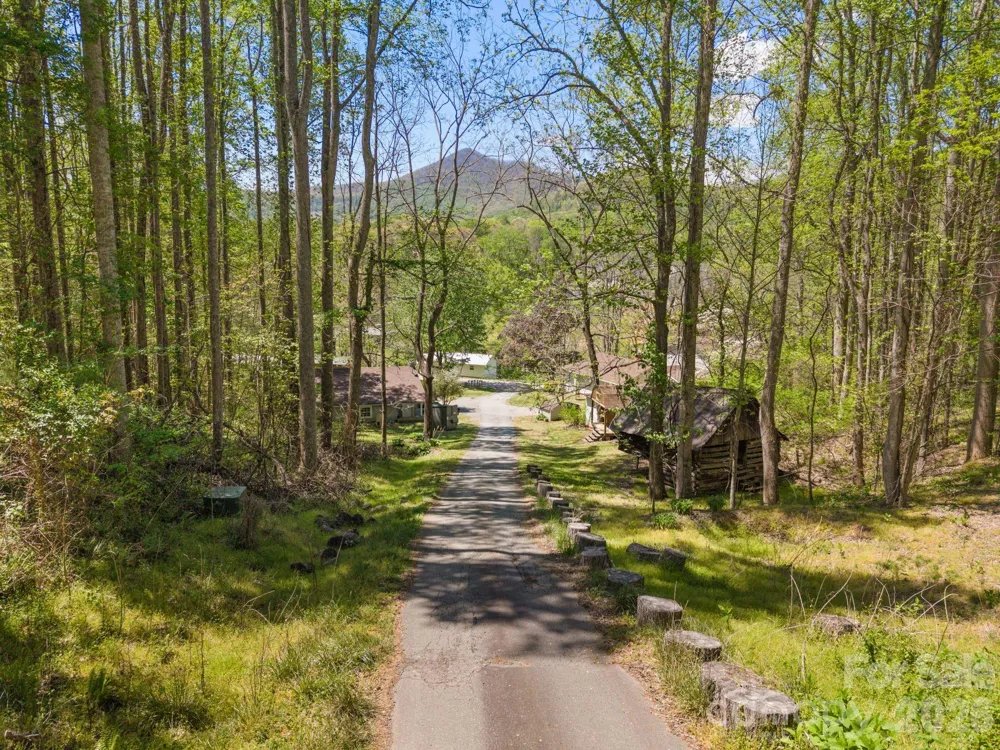 290 Hookers Gap Road Candler, NC 28715