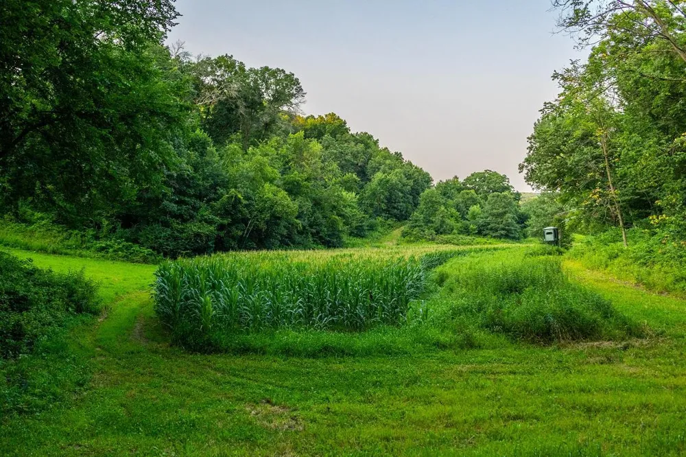 0 County Road S Blair, WI 54616