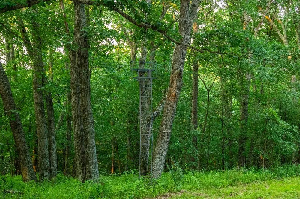 0 County Road S Blair, WI 54616