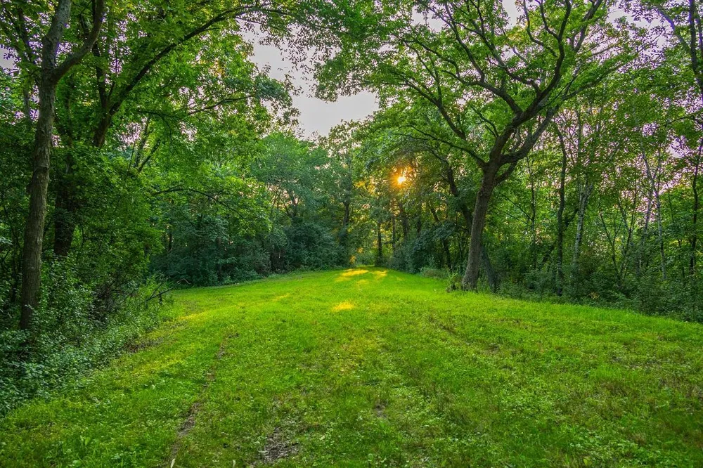 0 County Road S Blair, WI 54616
