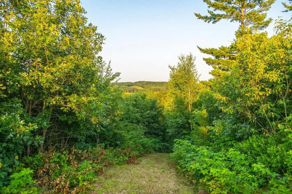 0 County Road S Blair, WI 54616