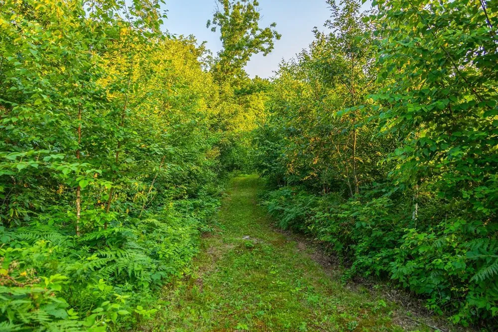 0 County Road S Blair, WI 54616