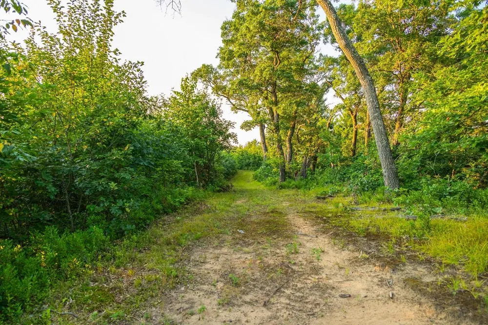 0 County Road S Blair, WI 54616