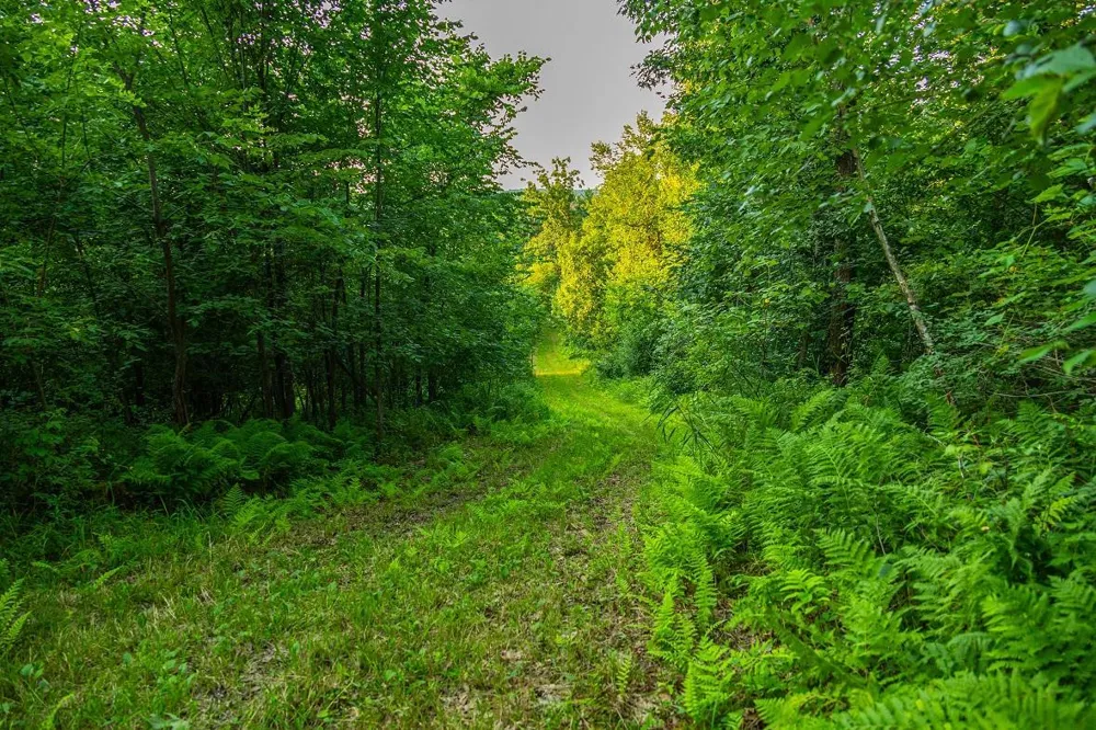 0 County Road S Blair, WI 54616
