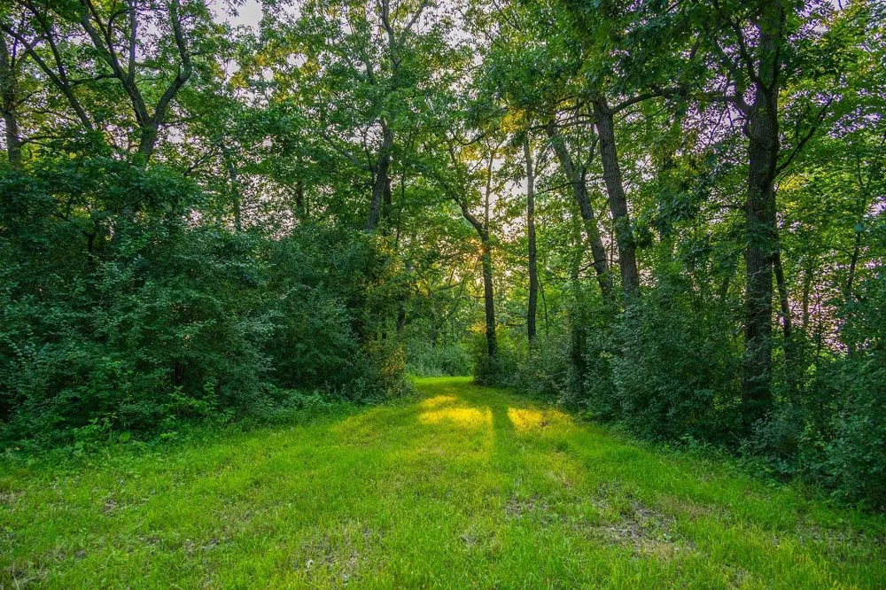 0 County Road S Blair, WI 54616