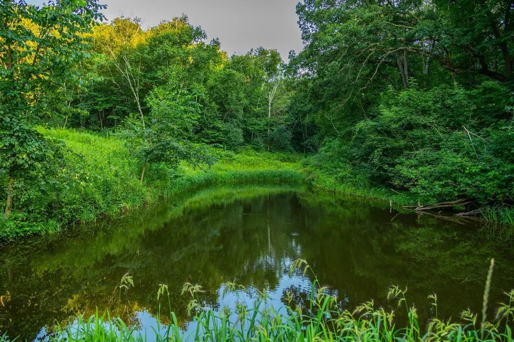 0 County Road S Blair, WI 54616