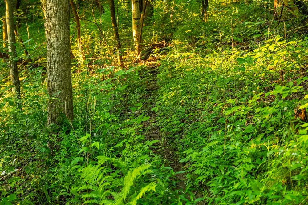 0 County Road S Blair, WI 54616