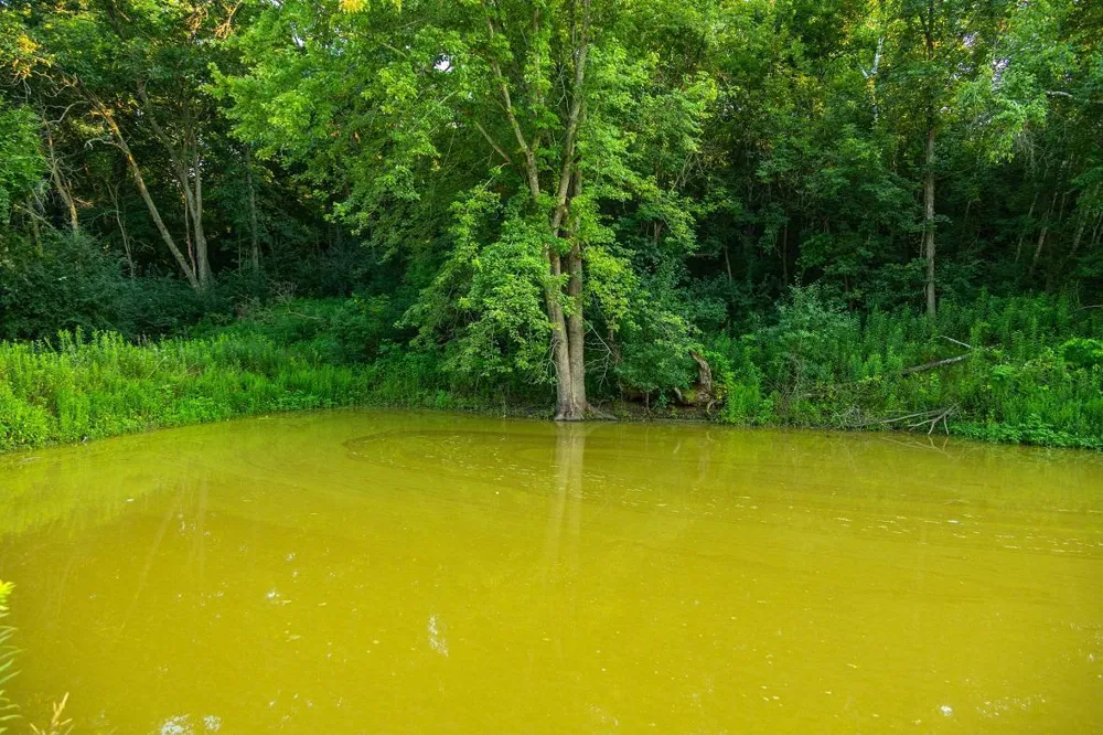 0 County Road S Blair, WI 54616