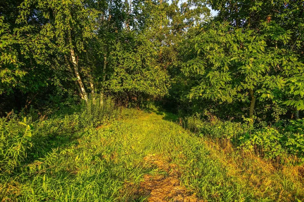 0 County Road S Blair, WI 54616