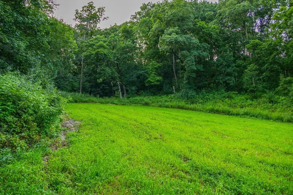 TBD County Road S Blair, WI 54616