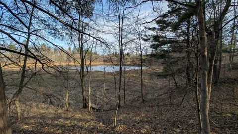 TBD Honkers Hollow