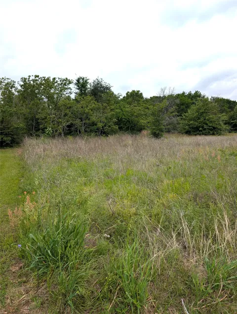 Meadow Heath Drive