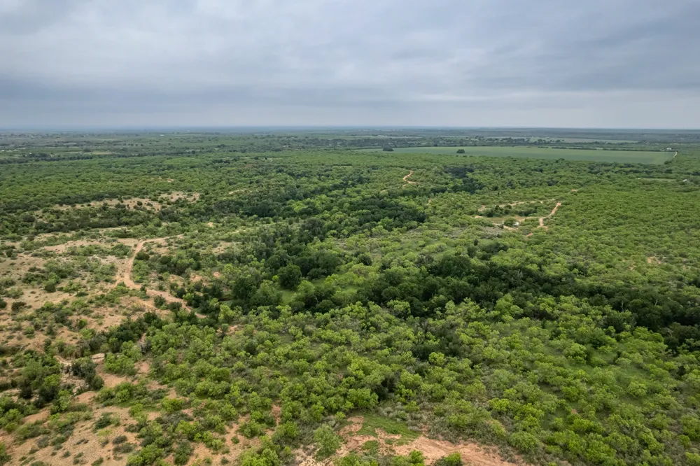 1853 County Road 220 Rockwood, TX 76873