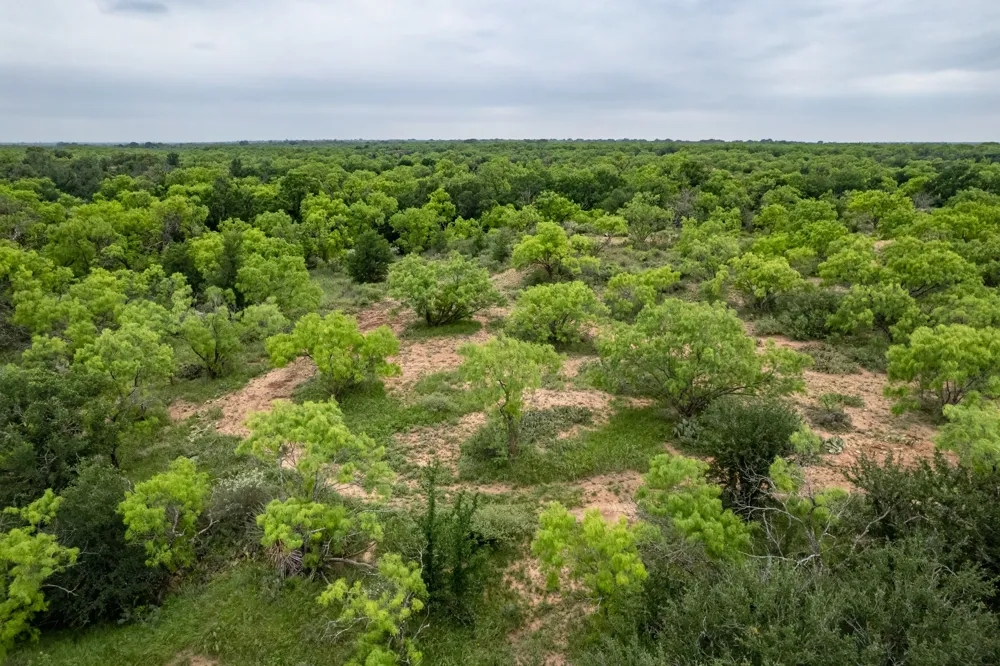 1853 County Road 220 Rockwood, TX 76873