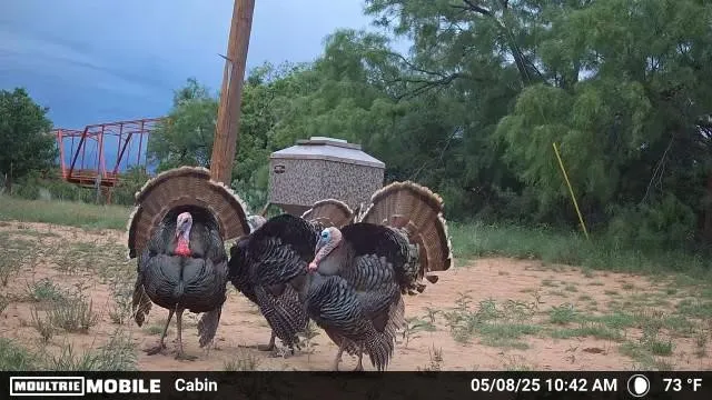1853 County Road 220 Rockwood, TX 76873