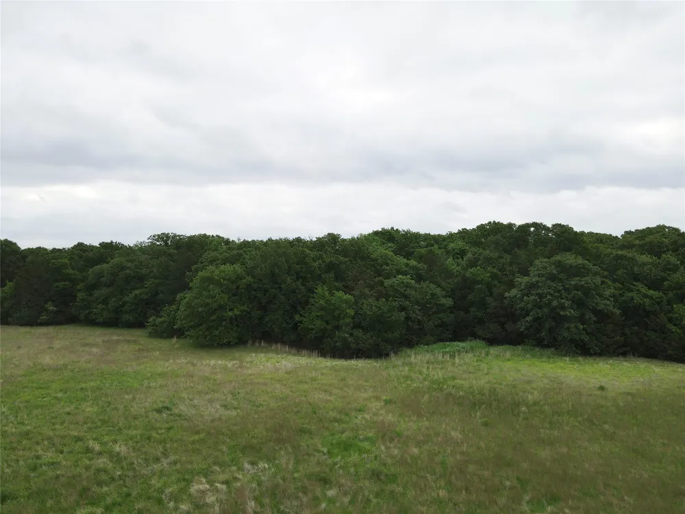 County Road 1145 Ravenna, TX 75476