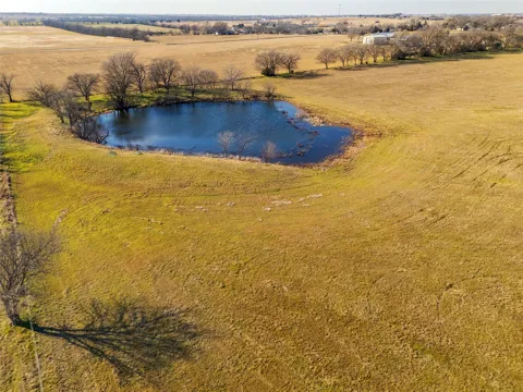 2180 County Road 237 #237