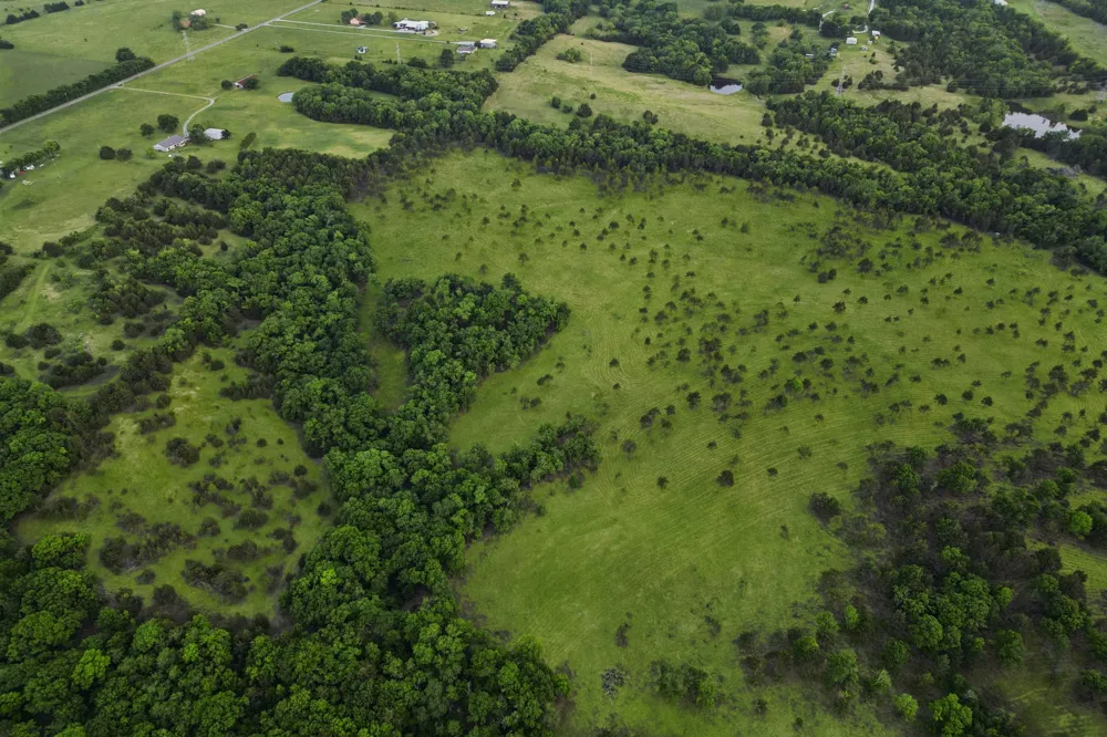 Ward Neal Road Bells, TX 75414