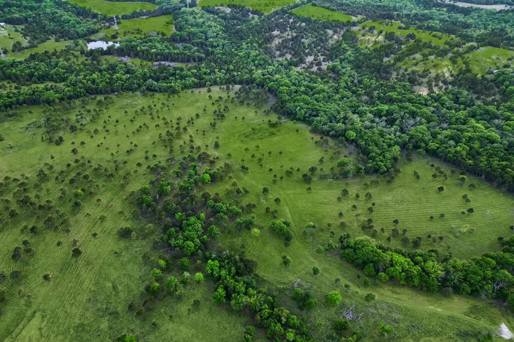 Ward Neal Road Bells, TX 75414