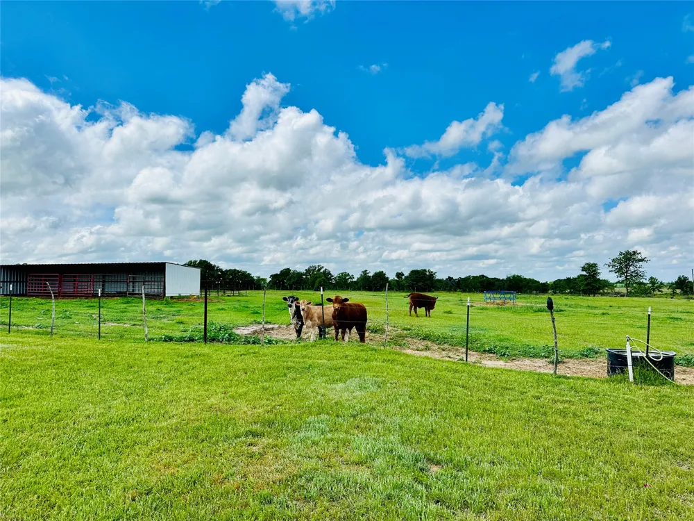 251 County Road 225 Rising Star, TX 76471