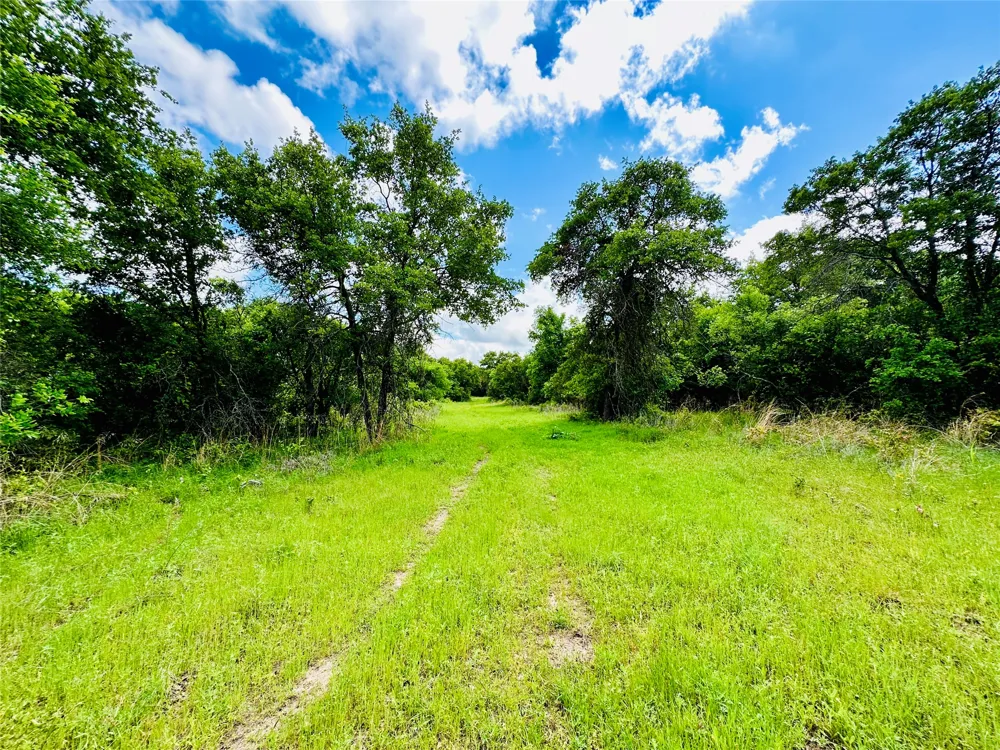 251 County Road 225 Rising Star, TX 76471
