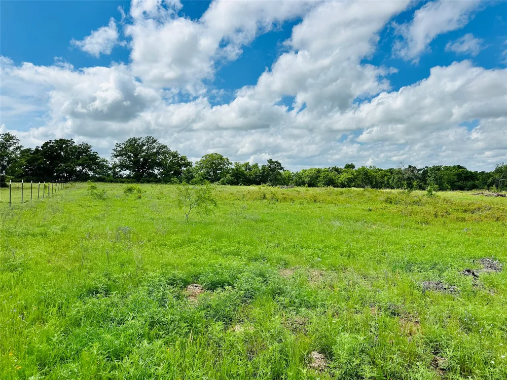 251 County Road 225 Rising Star, TX 76471