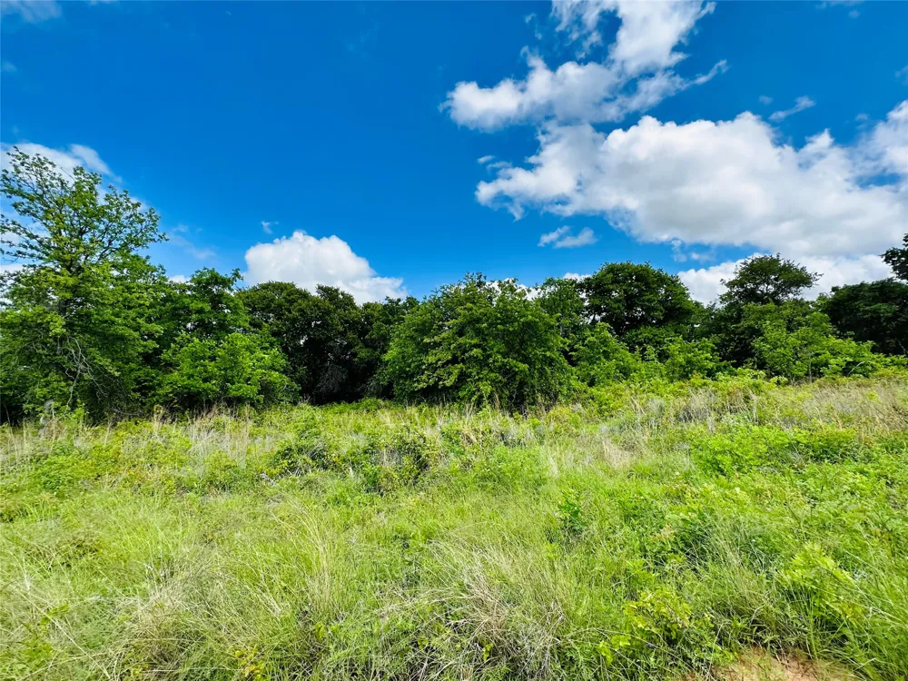 251 County Road 225 Rising Star, TX 76471