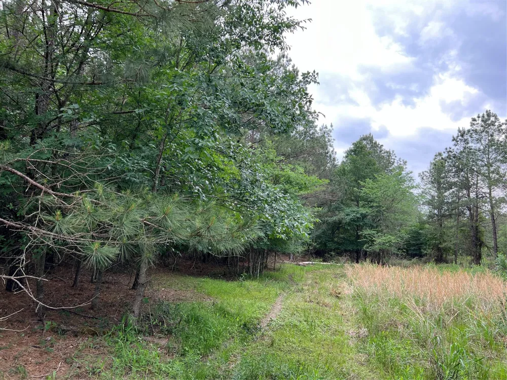 2 English Road Bedias, TX 77831